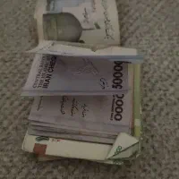 مقداری پول پیدا شده با دادن مشخصات دریافت کنید
