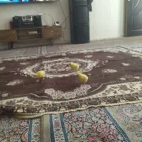 جوجه رنگی