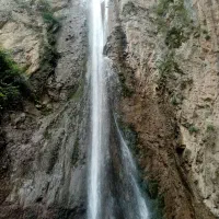 یونجه و علف