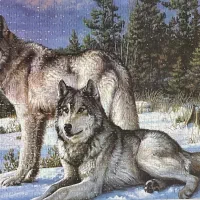 پازل دست ساز آماده