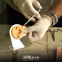 دوره های آموزش مجازی (آنلاین) پیرسینگ و نگین دندان