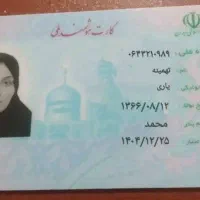 ماشین کلاه برداری|فعالیت داوطلبانه|میناب, |دیوار