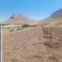 زمین مناسب باغ