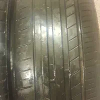 لاستیک|قطعات یدکی و لوازم جانبی|تبریز, |دیوار