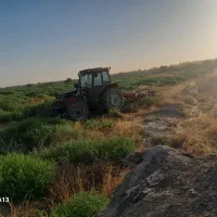 شخم زنی تراکتور ۳۹۹