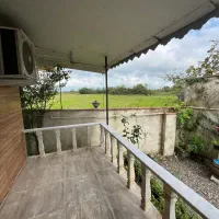 ویلا روستایی310متر/سند/ساحلی/خشکبیجار/آناملک|فروش خانه و ویلا|خشکبیجار, |دیوار