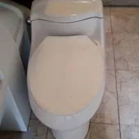 توالت کارکرده