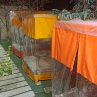 تخت و آلاچیق