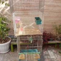 قفس|لوازم جانبی حیوانات|شیراز, کوزه گری|دیوار