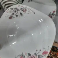 سرویس ارکوپال فرنسوا درحدنو