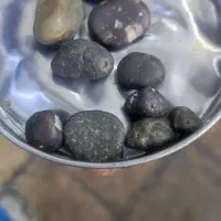 تعدادی شهاب سنگ فروشی