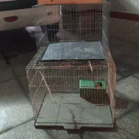 قفس پرنده فقط ۶۵