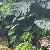 خدمات و نظافت