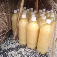 ابلیموطبیعی دیدن مساوی باپسندیدن هم حضوری هم ارسال