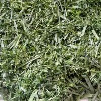 سبزی قرمه سرخ شده درجه یک|خوردنی و آشامیدنی|تهران, ترمینال جنوب|دیوار
