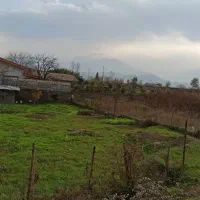 فروش فوری زمین