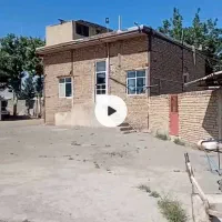 دامداری