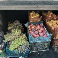 باغ منجیل اباد  شهریار. رباط کریم