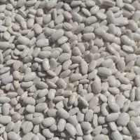 لوبیا چیتی سفید|خوردنی و آشامیدنی|رستم, |دیوار