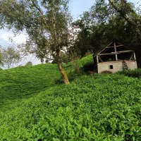کارگر ساده و فنی با جای خواب و وعده غذایی|استخدام صنعتی، فنی، مهندسی|تبریز, |دیوار