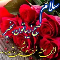 کارت ملی بنام محمد باقر موسوی گم شده