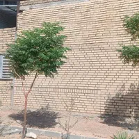 اجاره صنعتی|اجارهٔ دفتر صنعتی، کشاورزی، تجاری|رباط‌کریم, شهرک صنعتی پرند|دیوار