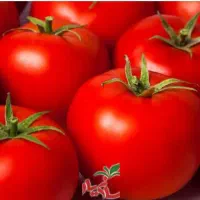گوجه ربی اعلا