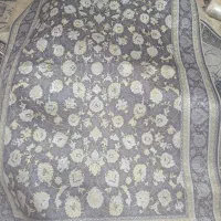 پادری|پادری|ارومیه, |دیوار