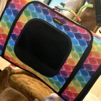 باکس سگ و گربه