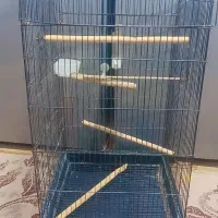 یک عدد قفس عروس هلندی