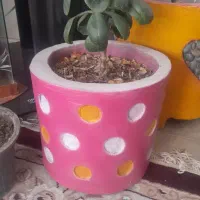 حوض آبنما  وگل گلدان|گل و گیاه طبیعی|سبزوار, شرق کال شمالی|دیوار