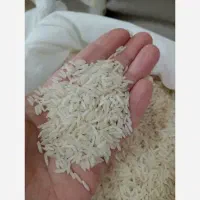 برنج درجه یک هاشمی بهترین برنج گیلان زمین