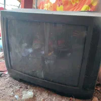 تلویزیون