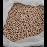 نخود بیونیش