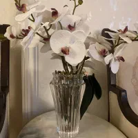 جا گلدونی|گل و گیاه طبیعی|تهران, شهرک غرب|دیوار