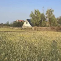 300متر-زمین-شهرکی-با-نگهبانی-سند-دار