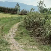 زمین کشاورزی