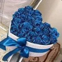 شاباش