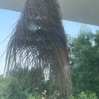 10 عدد لوستر حصیری