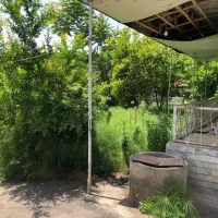 فروش خانه ویلایی|فروش خانه و ویلا|تولم شهر, |دیوار