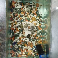 آکواریوم شیشه خم نیم متری