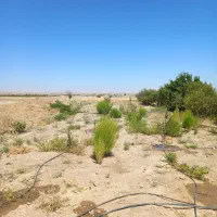 زمین باغی کنارجاده علیصدر