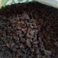 کشمش خانگی ده کیلو|خوردنی و آشامیدنی|میاندوآب, |دیوار