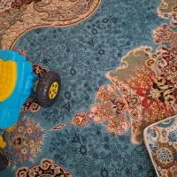 دو عدد قالی ۱۲ متری|فرش|اهواز, کوی طلاب|دیوار