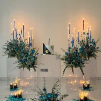 اجاره میز وصندلی فینگرفوود تنپوش گل ارایی نامردی