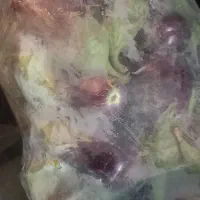 فروش بادمجون  جهت خشک کردن وترشی وسرخ کردن