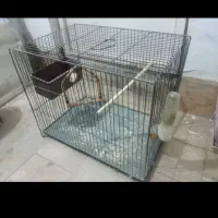 قفس پرنده