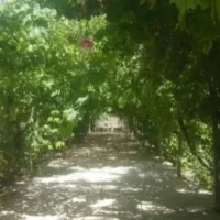 زمین مسکونی وباغشهری