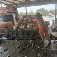 پاکبان و رفتگری و اپراتورمیدان تره بار بزرگ تهران