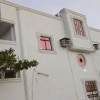 سیمانکاری،ونمارومی،ابزار،وشسته